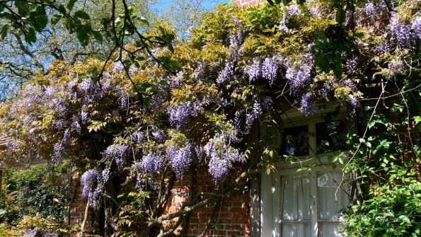 Bois des Moutiers (167) Mai 2012